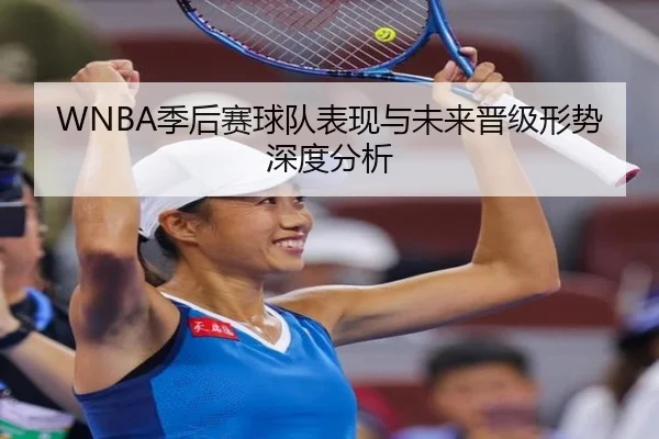 WNBA季后赛球队表现与未来晋级形势深度分析